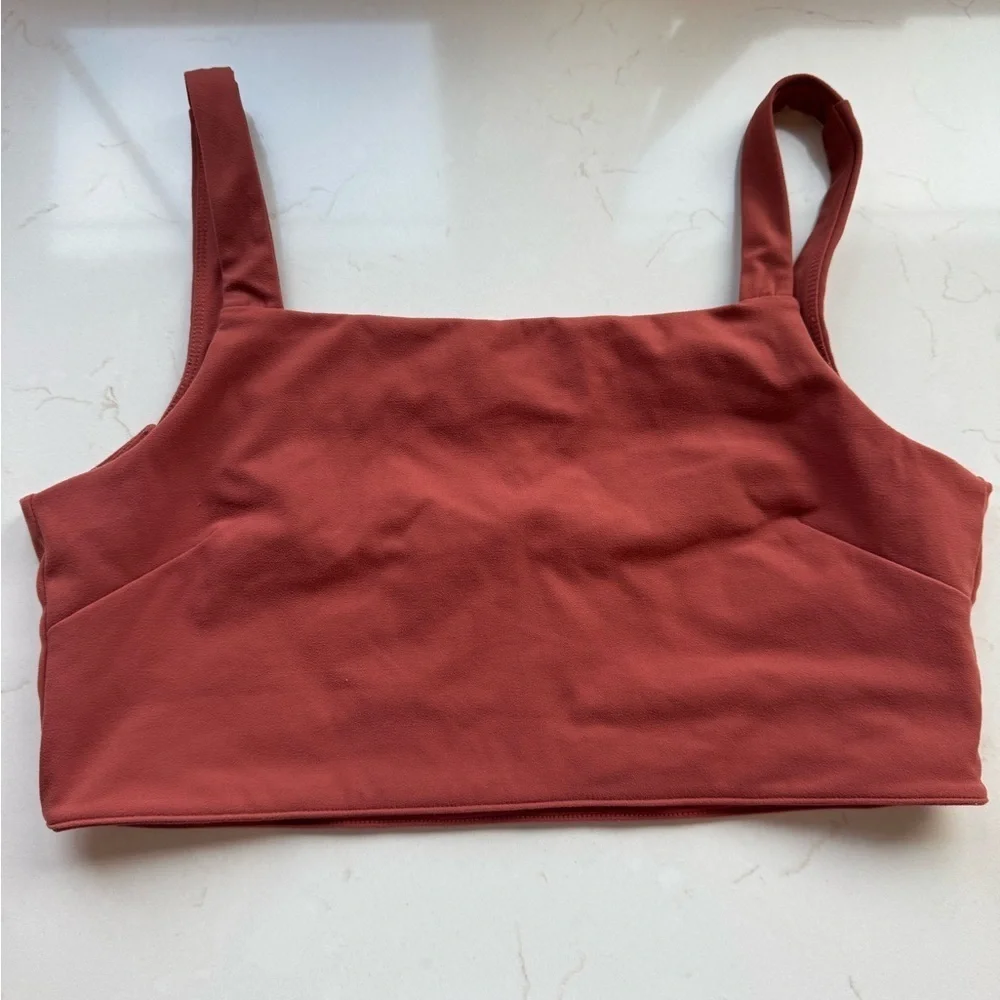 Paragon Fitwear Terracotta Sports Bra / xlarge